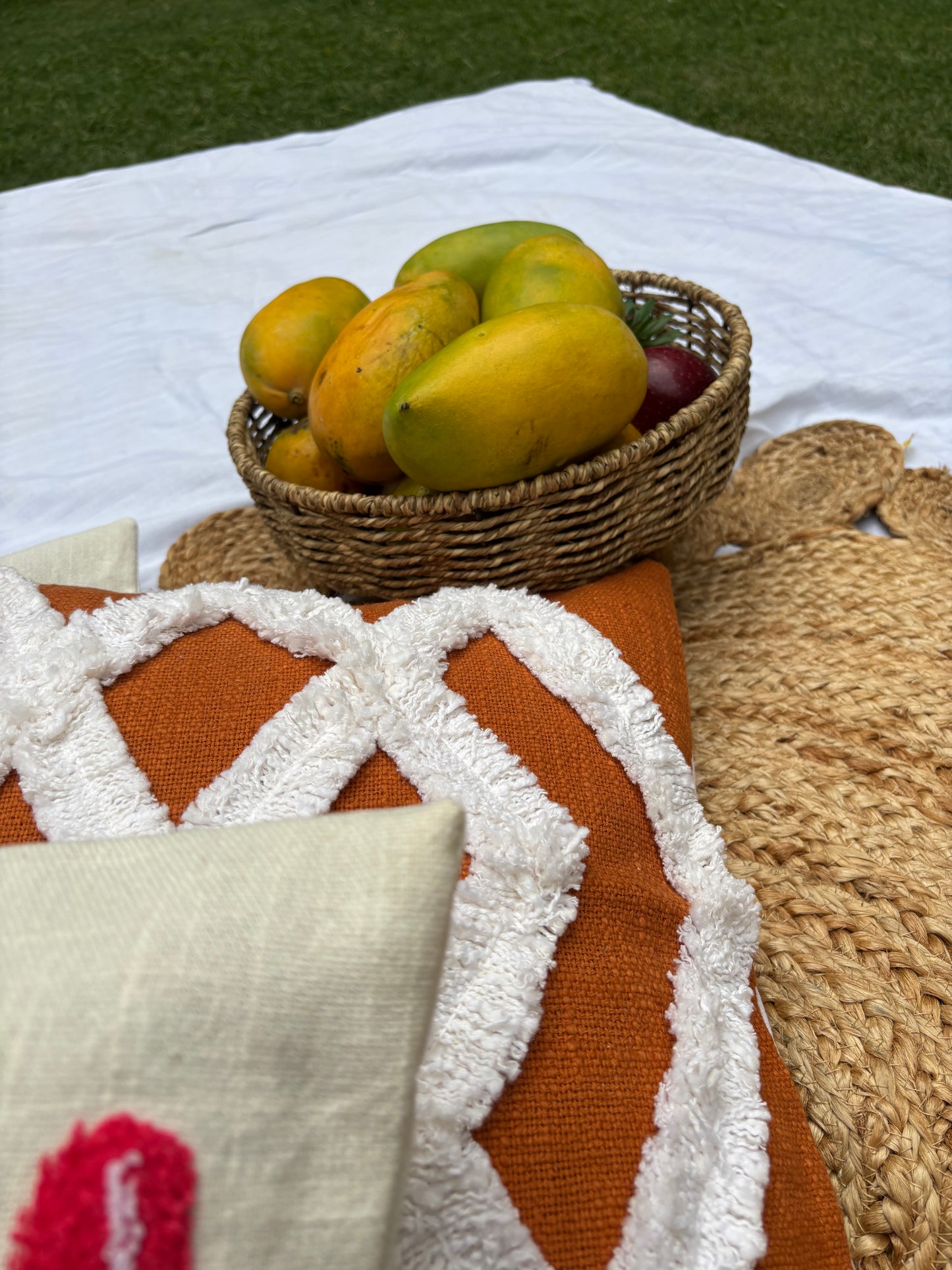 Rust Cushion Cover with white embroidery